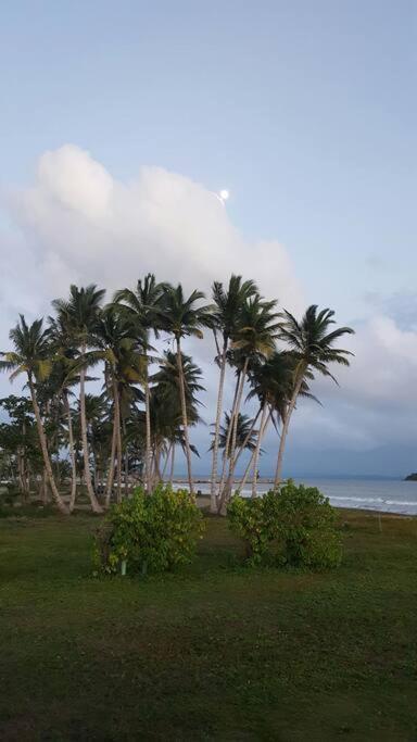 Free Wifi 1St Floor Apartment Punta Santiago المظهر الخارجي الصورة